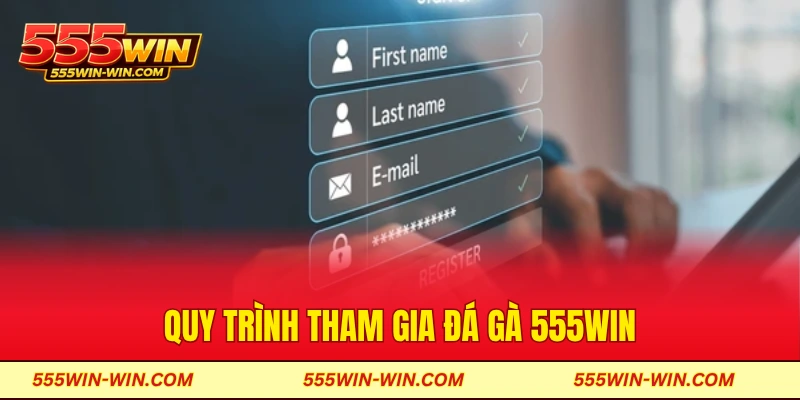 Quy trình đầu tiên cho newbie tham gia đá gà 555win