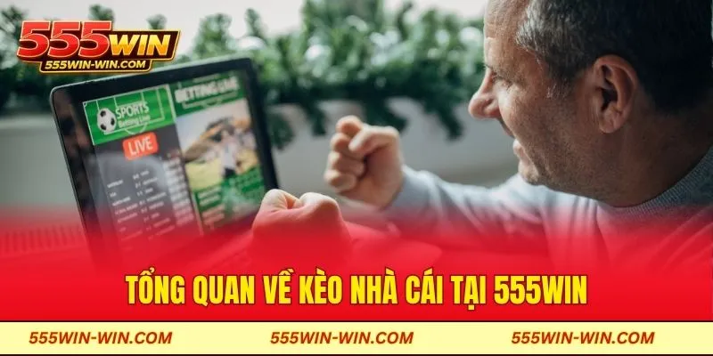 Tổng quan về kèo nhà cái tại 555Win