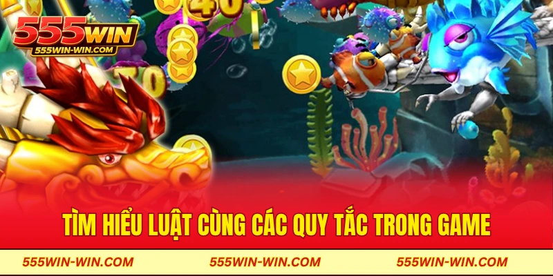 Tìm hiểu luật cùng các quy tắc trong game