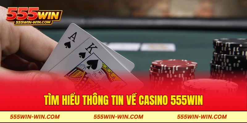Tìm hiểu thông tin về Casino 555win