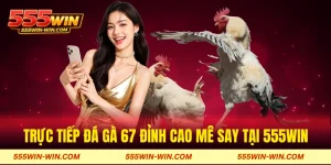 Trực tiếp đá gà 67