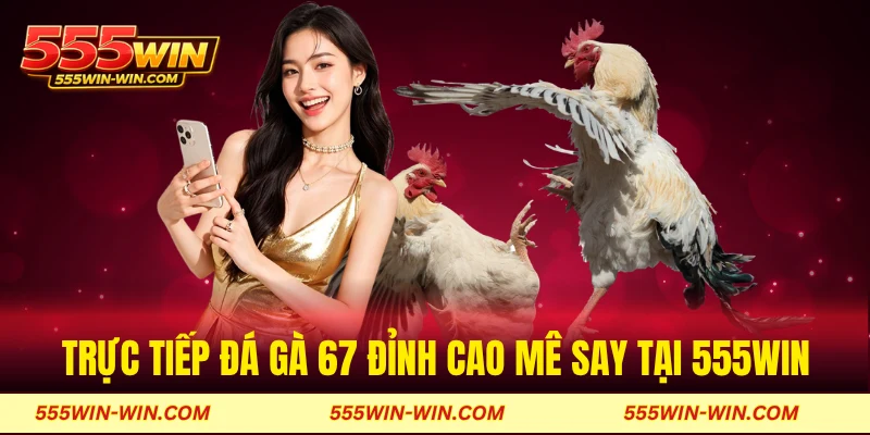 Trực tiếp đá gà 67