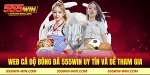 Web cá độ bóng đá