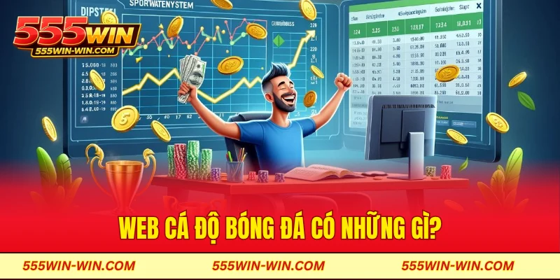 Web cá độ bóng đá có những gì?